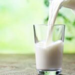 wellhealthorganic.com:buffalo milk